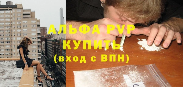 дживик Арсеньев