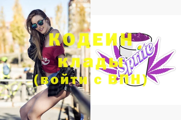 дживик Арсеньев