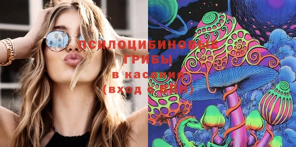 эйфоретик Аркадак