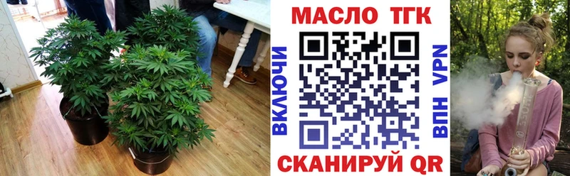 ТГК концентрат  где продают   Мураши 